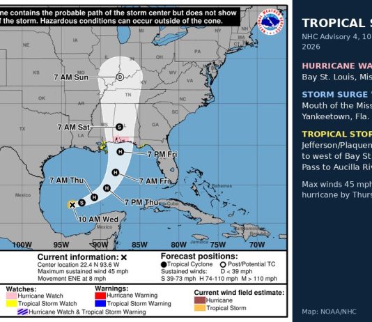 Tropical Storm Isaias Prompts Hurricane Watch for Northern Gulf Coast NHC forecast cone map showing Tropical Storm Isaias tracking toward the northern Gulf Coast with hurricane watches posted