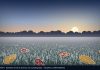 Freeze Warnings Set for Saturday Night as Nor’easter Forms Off Carolinas Illustration of frost-covered grass and fallen autumn leaves in a field as the sun rises over distant trees