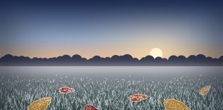 Freeze Warnings Set for Saturday Night as Nor’easter Forms Off Carolinas Illustration of frost-covered grass and fallen autumn leaves in a field as the sun rises over distant trees