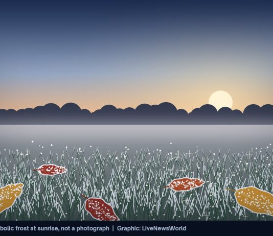 Freeze Warnings Set for Saturday Night as Nor’easter Forms Off Carolinas Illustration of frost-covered grass and fallen autumn leaves in a field as the sun rises over distant trees