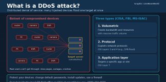 What Is a DDoS Attack? How Denial-of-Service Attacks Work Graphic explaining a DDoS attack, showing hijacked devices flooding a target server and three attack types