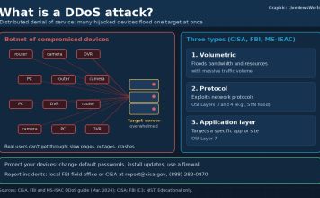 What Is a DDoS Attack? How Denial-of-Service Attacks Work Graphic explaining a DDoS attack, showing hijacked devices flooding a target server and three attack types