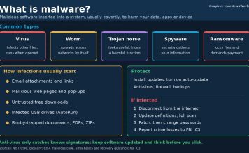 What Is Malware? Common Types and How to Protect Yourself Graphic explaining what malware is, showing five common types, how infections start and CISA steps to protect and recover.